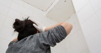 Dlaczego pleśń i grzyb w łazience są niebezpieczne dla zdrowia?