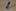 190561