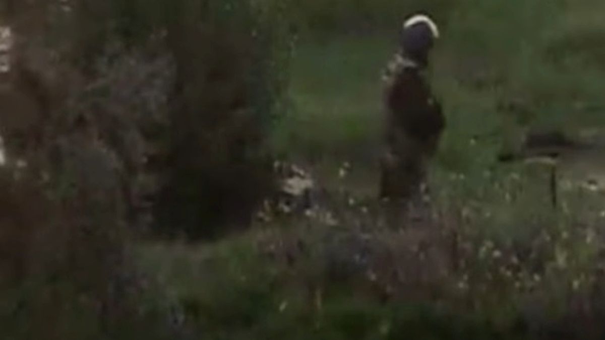 Ambulance on emergency call1185612294Palinchak Mykhailoaccident, action, blur, blurred, emergency, fast, health, help, movement, services, transport, urgent, vehicle