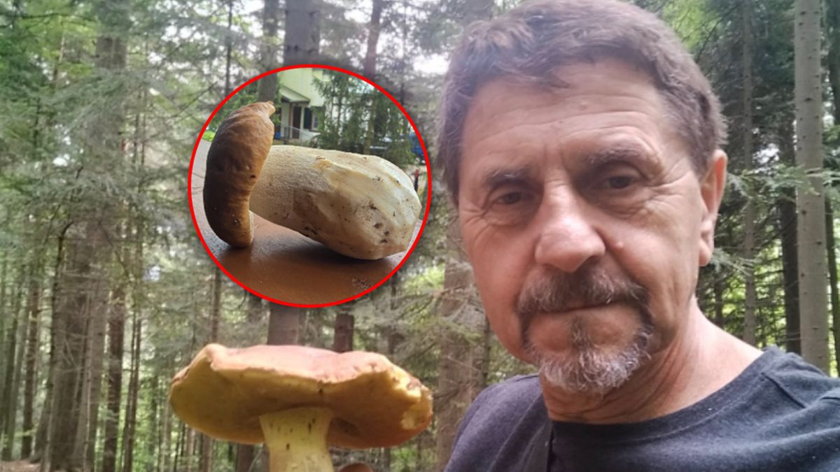 Justyn Kołek tłumaczy, jak powstają grzyby mutanty.