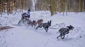 Grozili czy ostrzegali: starcie myśliwych z mistrzem świata w Trąbkach Wielkich
