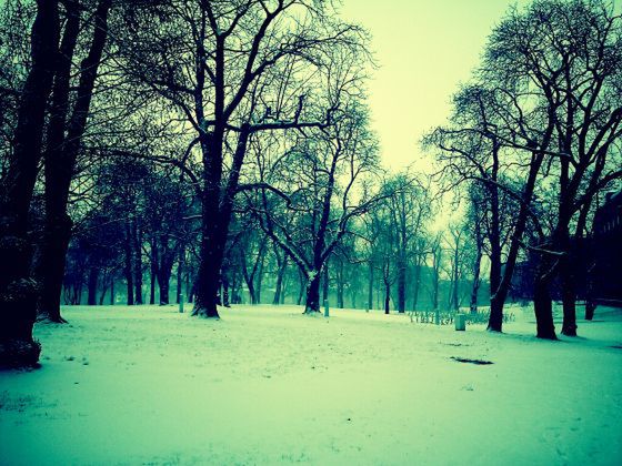 Albumy MECEK.KOM wędrują do... [galeria] 5