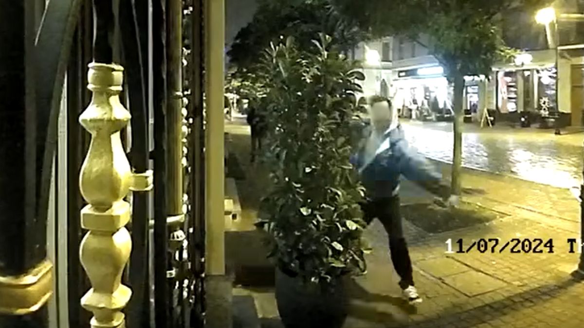 Nagrali, jak zniszczył donicę