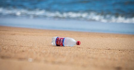 Kaucja za butelki wprost na kartę. Zwrotomaty staną na plażach