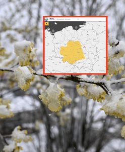 "Zimna Zośka" przynosi alerty. Sypnie grad