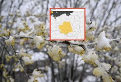 "Zimna Zośka" przynosi alerty. Sypnie grad