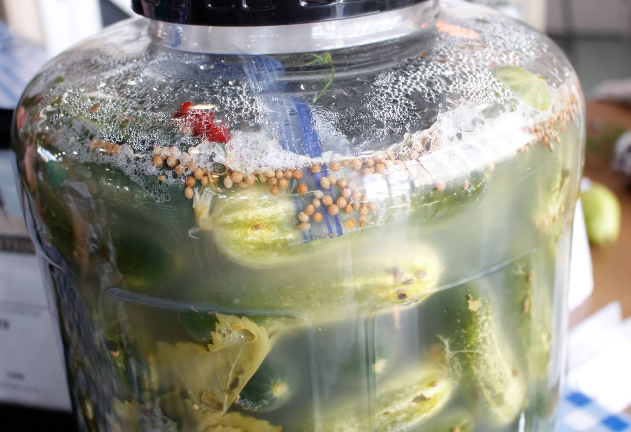 Why you should skip plastic for pickling cucumbers