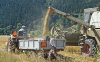 Krajowy Ośrodek Wsparcia Rolnictwa zastąpi dwie ważne agencje