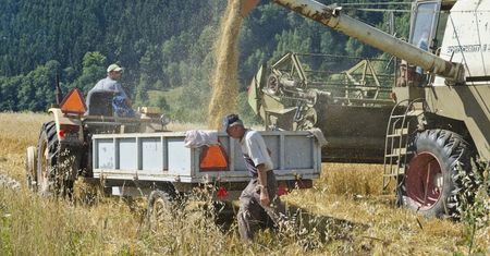 Handel gruntami rolnymi. Unia kwestionuje ograniczenia w czterech krajach wspólnoty