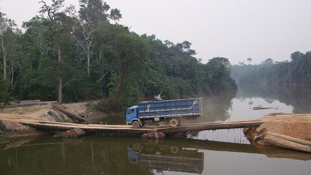 Obecnie właściciele ziemi w Amazonii mogą wykorzystywać jedynie 20 proc. swoich areałów do celów gospodarczych.