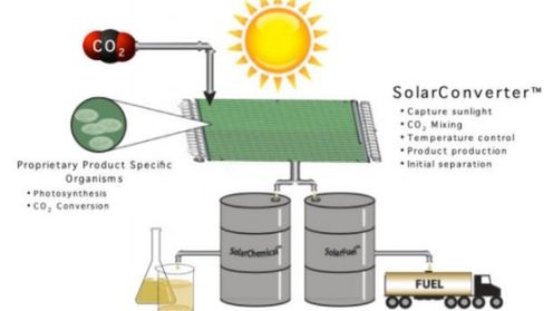 Paliwo powstające w procesie fotosyntezy 1