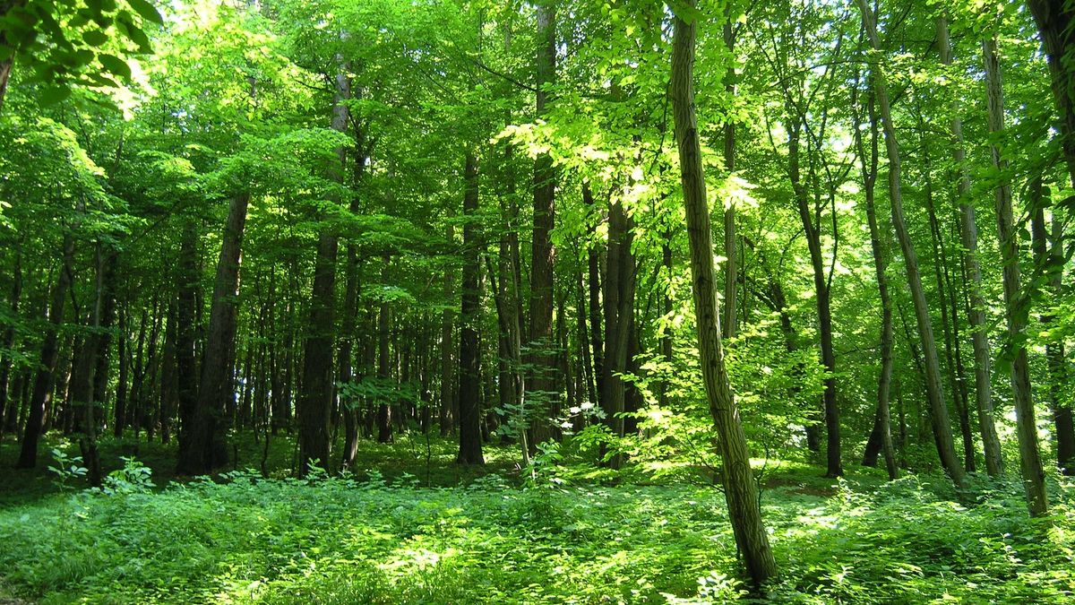 Turyści będą mogli spokojnie spacerować 