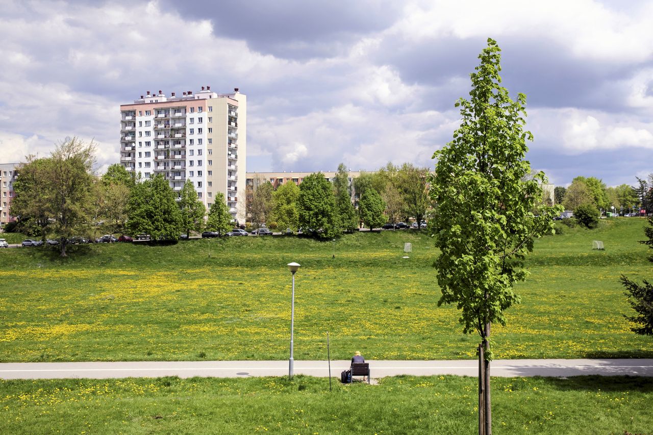 Rzeszów. Park Sybiraków, w którym zgwałcono 13-latkę
