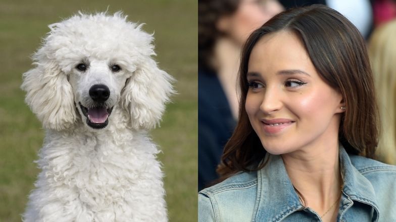 Marina planuje zakup pudelka