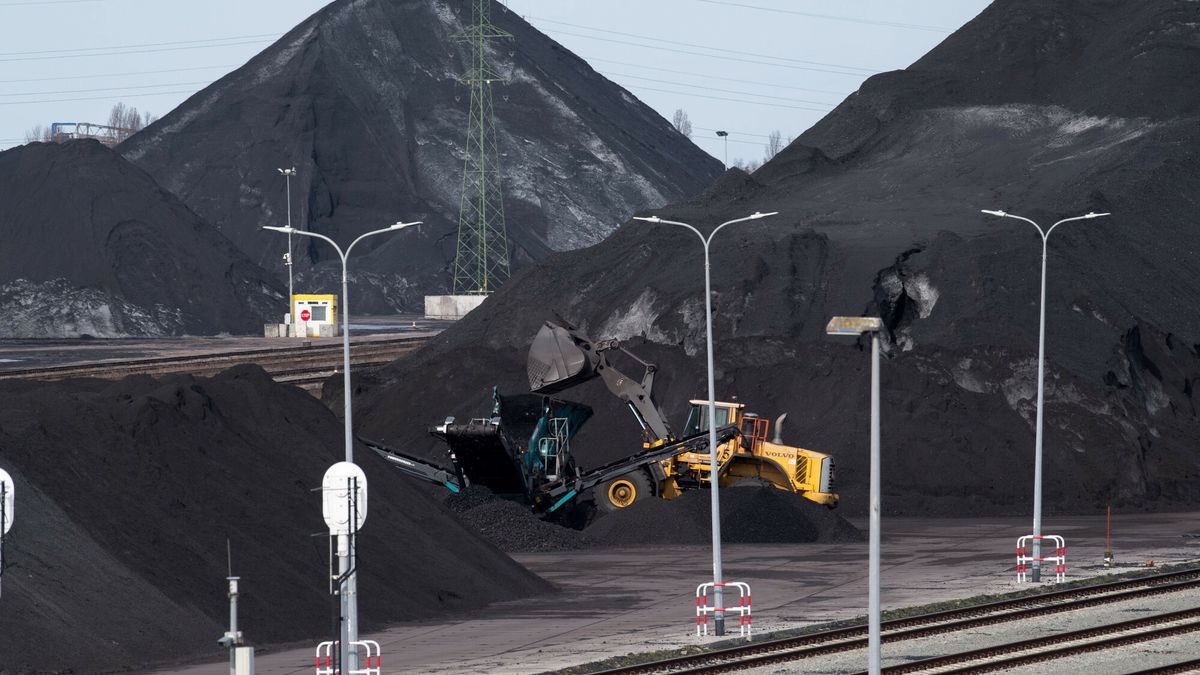 Ha?dy w?gla w porcie w Gda?sku
29.03.2024 Gdansk Sklad Haldy weglaFot. Wojciech Strozyk/REPORTER
Wojciech Strozyk/REPORTER