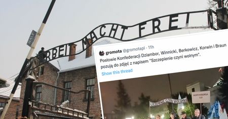 "Szczepienie czyni wolnym". Skandaliczny transparent na proteście Konfederacji. Reaguje Muzeum Auschwitz