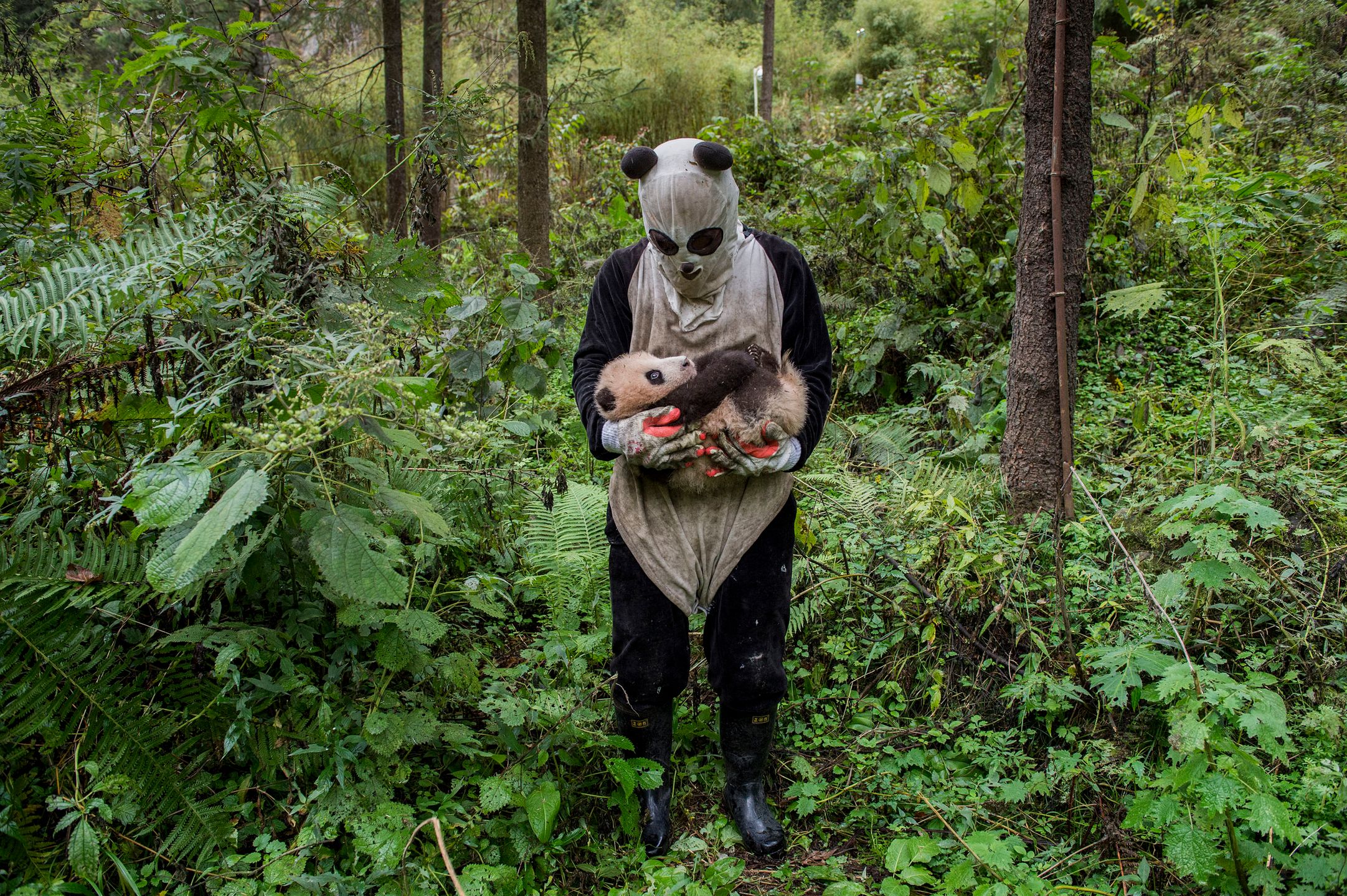 Sony World Photography Awards 2017 - poznajcie zwycięzców największego konkursu fotograficznego świata 39