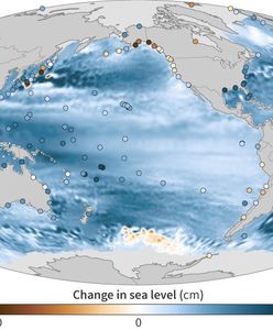 Dwie złe informacje. Nowy raport NOAA o klimacie