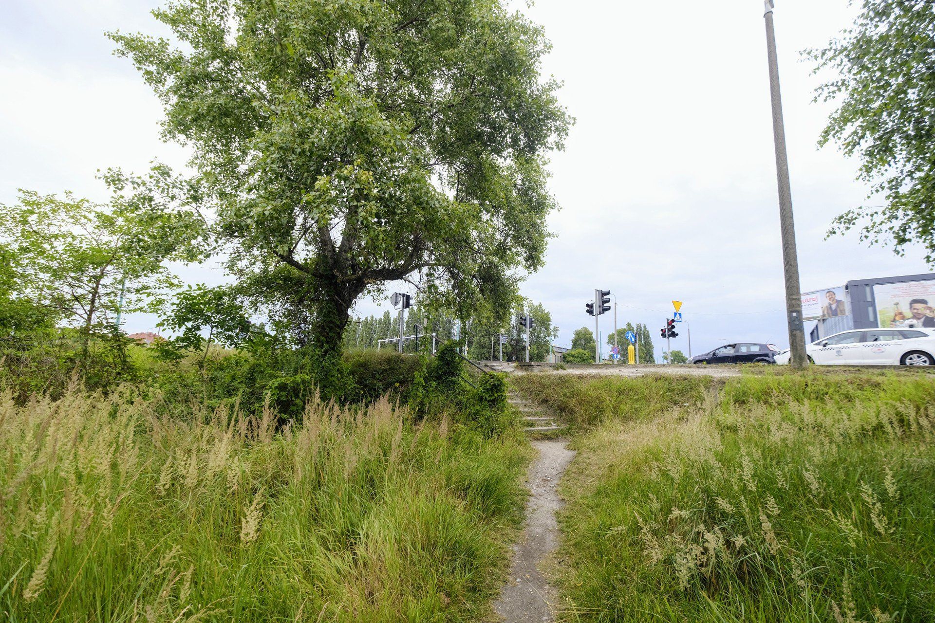 Na łazarzu powstanie nowy park? Tego chcą społecznicy i mieszkańcy.