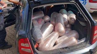 Polski dostawczak zatrzymany. W środku setki kilogramów mięsa