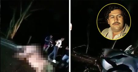 Hipopotam Escobara zginął w wypadku. "Zagrożenie dla ludzi"
