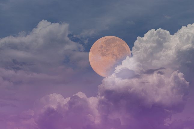 Czy pełnia Księżyca wpływa na grzyby?