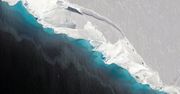"Lodowiec zagłady" oderwie się od Antarktydy? Naukowcy zaniepokojeni