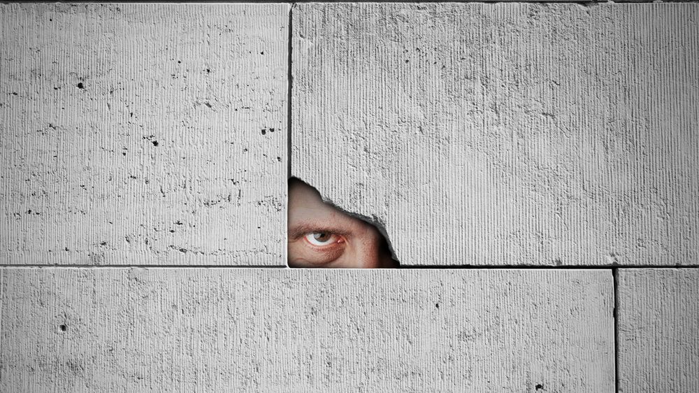 Co dwie pary oczu, to nie jedna. Jak sprawdzić co dzieje się w domu pod naszą nieobecność? 1