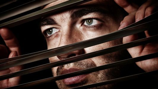 Prawnicy: Google wcale nie szpiegowało przez przypadek! 1