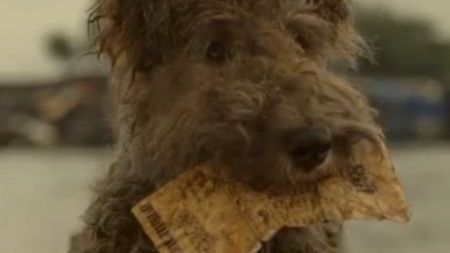 Psia wierność i wygrana w totolotka [wideo] 1