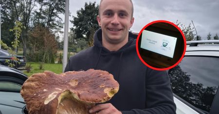 "Ale bydlę". Ujęcie z lasu. Rozgrzał internet do czerwoności