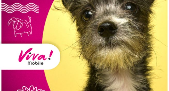 Olmeka Creation House wspiera marketingowo operatora komórkowego Viva! Mobile