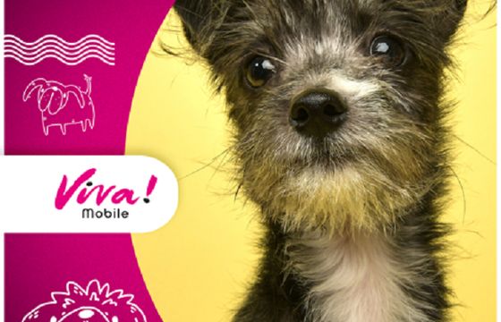 Olmeka Creation House wspiera marketingowo operatora komórkowego Viva! Mobile