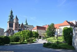 Niemcy chwalą polskie miasto. Zdecydowany lider rankingu