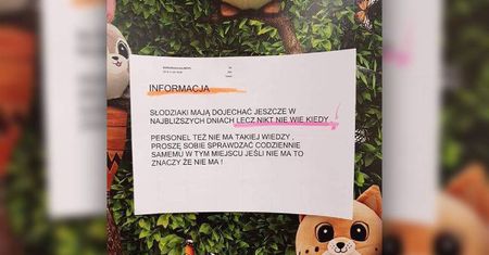 Biedronki czekają na dostawę Słodziaków. Pracownicy mają dość pytań o maskotki