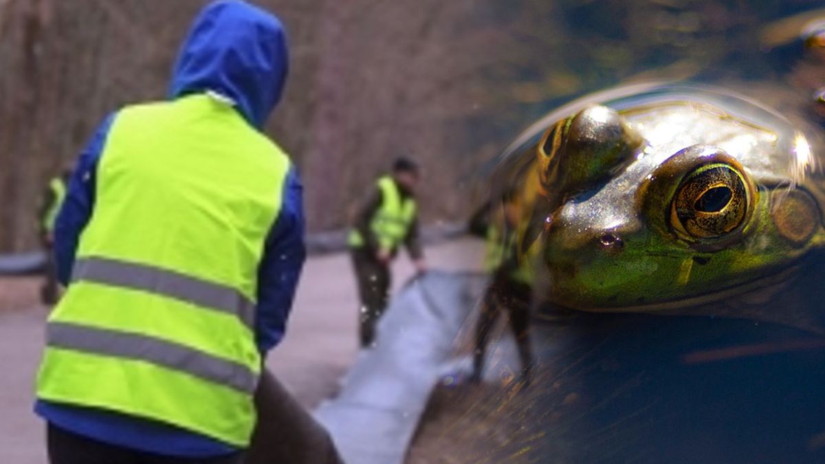 Niezwykła akcja w pobliżu rezerwatu Krutynia Górna 