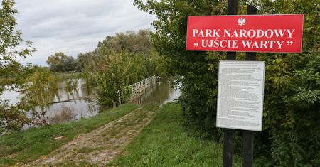 Odra opada. Duże spadki poziomu wody