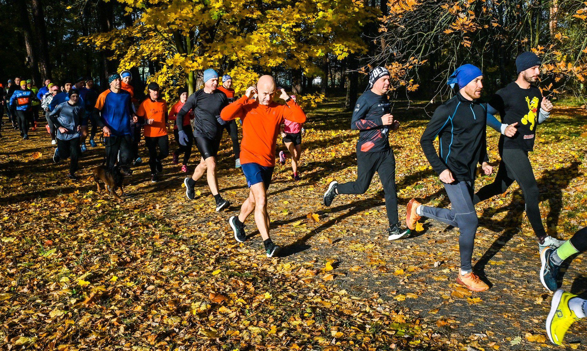 Parkrun Bydgoszcz 1.11.2025