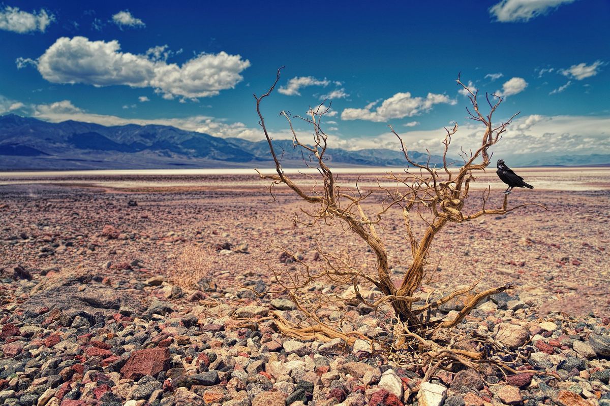 Dolina Śmierci w USA. Nowy rekord temperatury