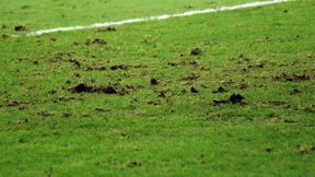 Spłonął historyczny stadion w Eugene