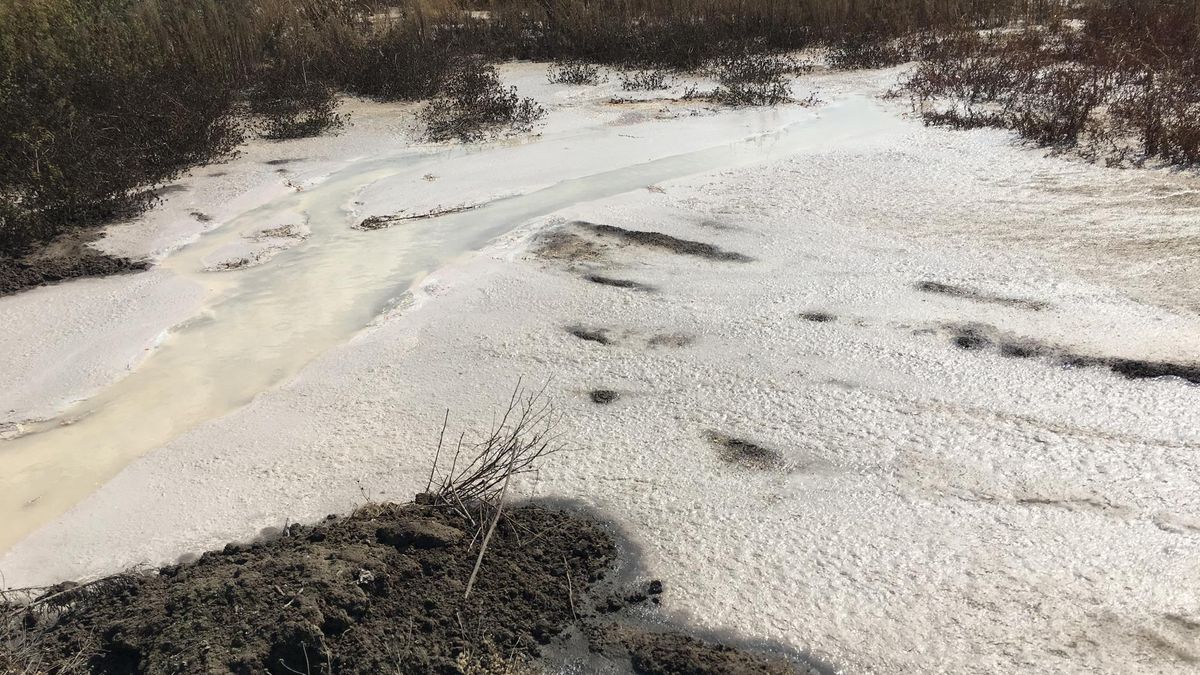 Tak wyglądają ścieki z zakładu Dawtony w Lesznie
