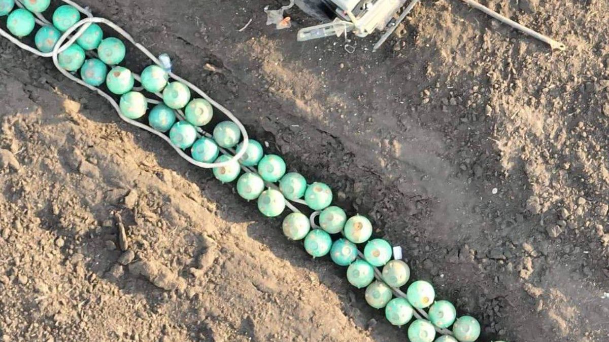 Sieć obiegło nagranie z obwodu chersońskiego