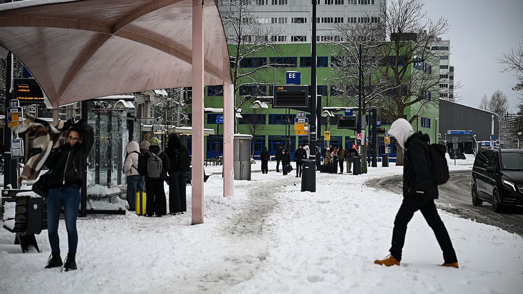 Polacy masowo wracają z emigracji. Teraz padło na Holandię