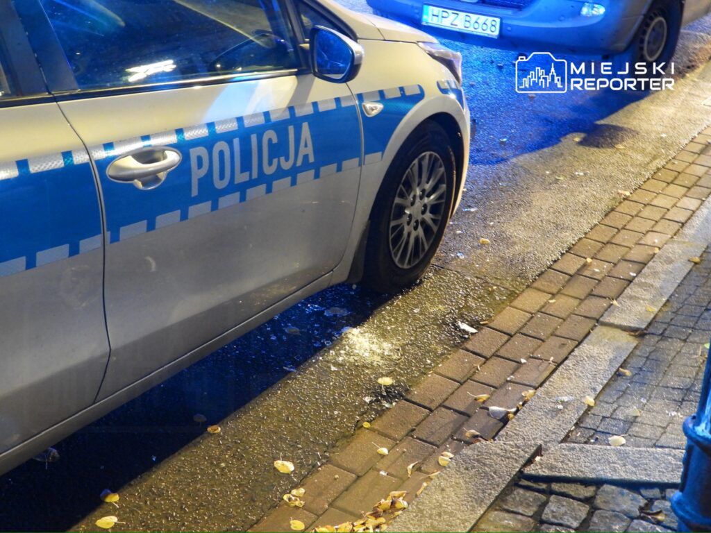 Radiowóz policyjny zaparkowany na ulicy, z błękitnymi światłami i liśćmi na jezdni.