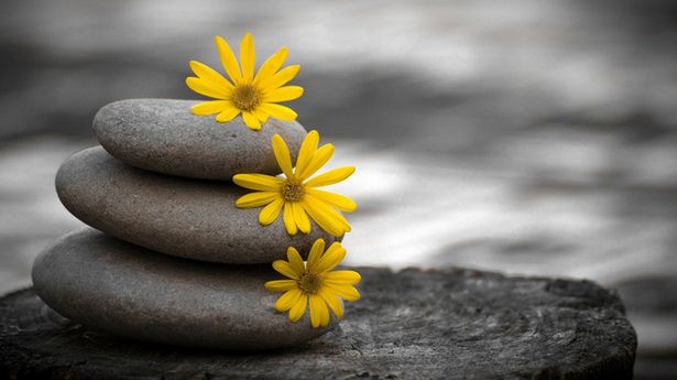 Jerry Seinfeld i jego łańcuch produktywności 1