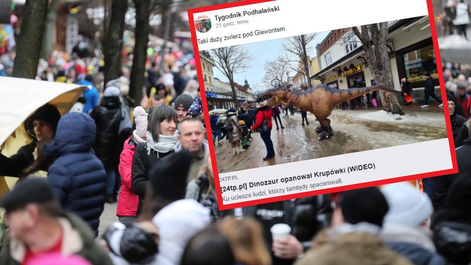 Wzmożone interwencje zakopiańskiej straży miejskiej. Na Krupówkach doszło do obławy na... dinozaura