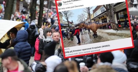 Wzmożone interwencje zakopiańskiej straży. Na Krupówkach doszło do obławy na... dinozaura