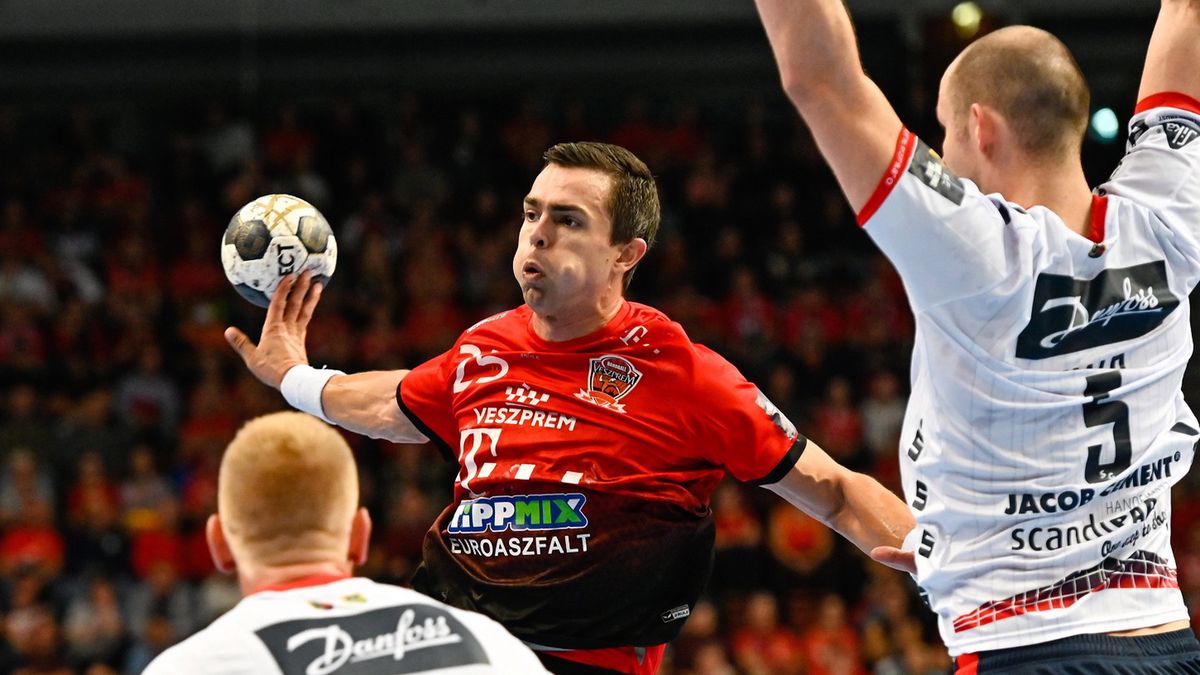 Rasmus Lodge Schmidt