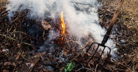 Palenie gałęziami na swojej działce. Oto co mówi prawo