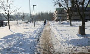 Odśnieżanie niezgodne ze standardami. Warszawa nakłada kary na wykonawców